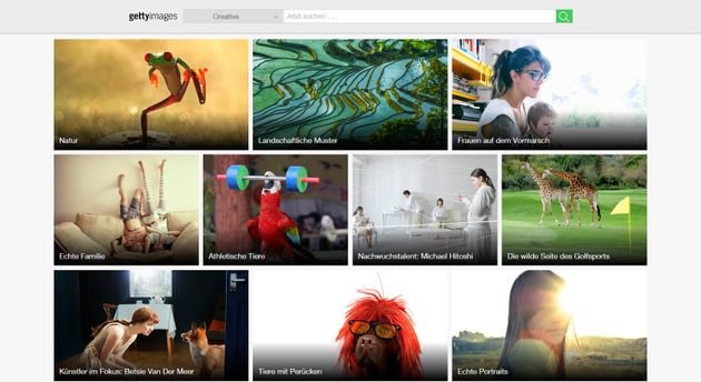Vorschläge für Galerien und Suchbegriffe