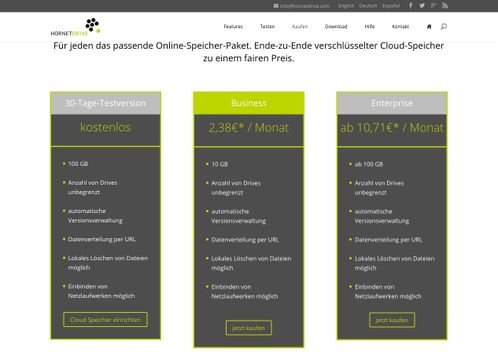 Preisstruktur bei Hornetdrive