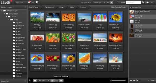 cavok bietet Ihnen ein Datenbanksystem für Ihre Dokumente und Bilder - darüber hinaus kann das Tool aber noch viel mehr