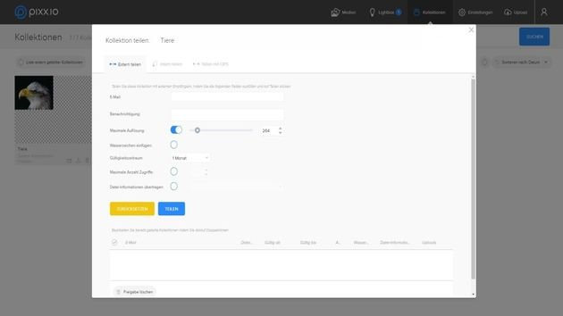 Das Teilen von Kollektionen ist mit pixx.io ganz einfach per Mail möglich