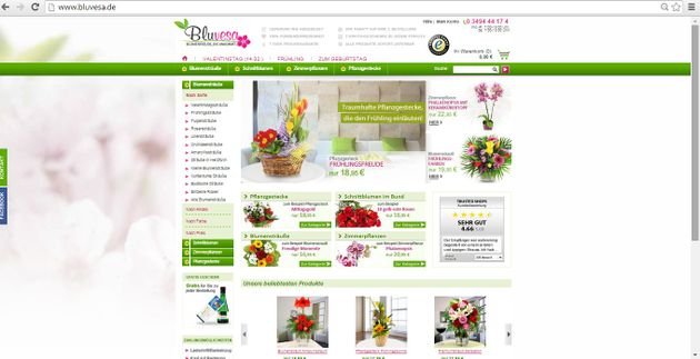 Die Homepage von Bluvesa