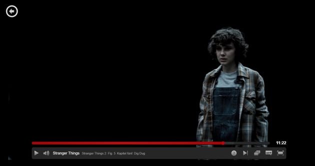 Der Netflix-Player ist für Serienjunkies und “Binge-Watcher” ideal