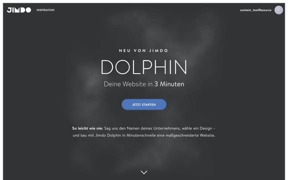 Schon im Intro-Bereich des Dolphin-Baukastens werden Sie als Business-Anwender genau adressiert