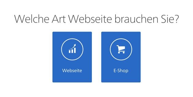 Entscheiden Sie sich für eine klassische Website oder einen Online-Shop?