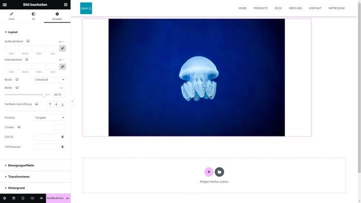 Page-Builder wie Elementor liefern dir mehr gestalterische Freiheiten las der Gutenberg-Editor