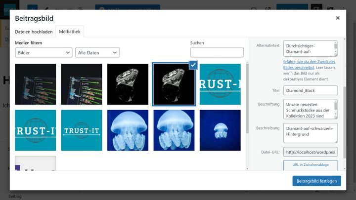 Alternativtexte für deine Bilder sind ein großer SEO-Vorteil
