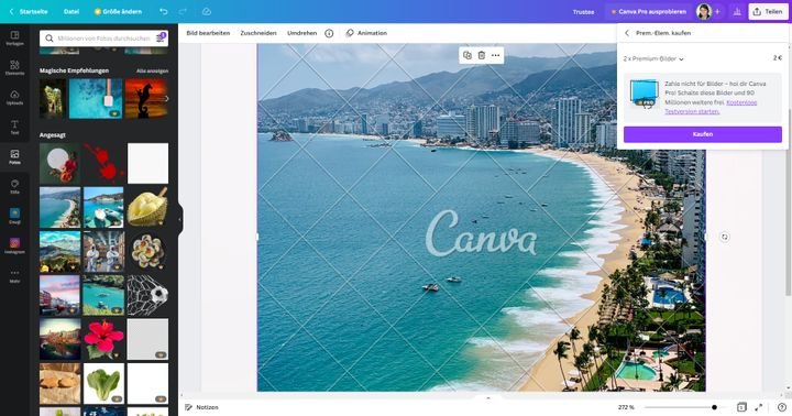 Kaufen Sie sich einzelne Elemente, wenn Sie nicht auf ein Pro-Abo wechseln wollen