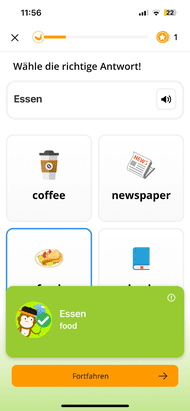 Die Ling-App ist ein wenig bunter als die Webversion, die Inhalte sind aber gleich