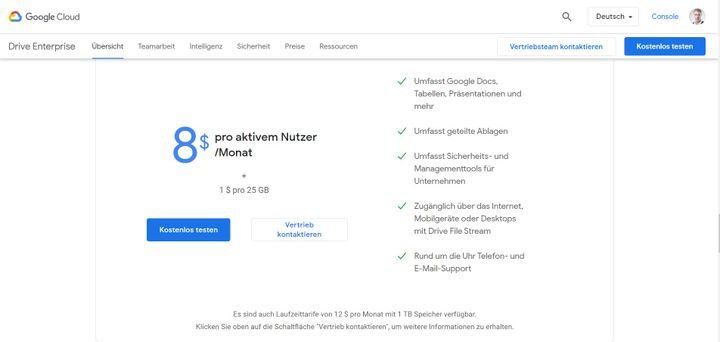 Auf Wunsch buchen Sie Google Drive auch ganz flexibel als eigenständige Plattform