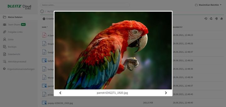 Betrachten Sie Fotos direkt in der Cloud in einer ansprechenden Bildgalerie