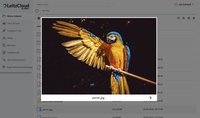 Betrachten Sie Fotos direkt in der Cloud in einer ansprechenden Bildgalerie
