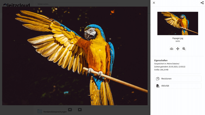 Betrachte Fotos direkt in der Cloud in einer ansprechenden Bildgalerie