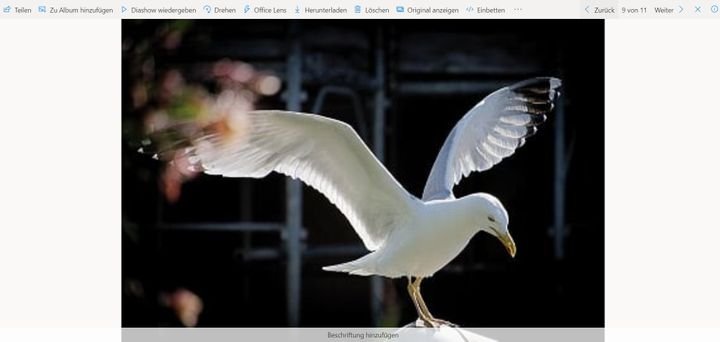 In der Bildergalerie kannst du dir alle deine Fotos der Reihe nach anschauen