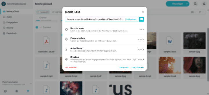 Dateien teilst du aus pCloud heraus schnell und einfach per Link, den du dann mit klassischen Sicherheitsfunktionen schützen oder sogar mit einem eigenen Logo branden kannst