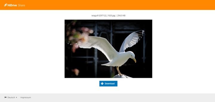 Geteilte Dateien kannst du online betrachten oder aus deinem HiDrive herunterladen