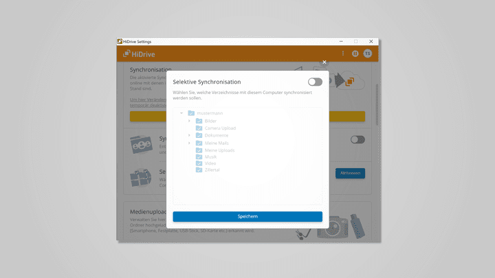 Um auszuwählen, welche Dateien synchronisiert werden sollen, musst du die entsprechenden Verzeichnisse wählen