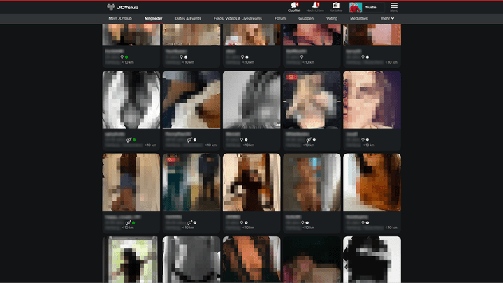 Paare gibt es bei JOYclub in Hülle und Fülle