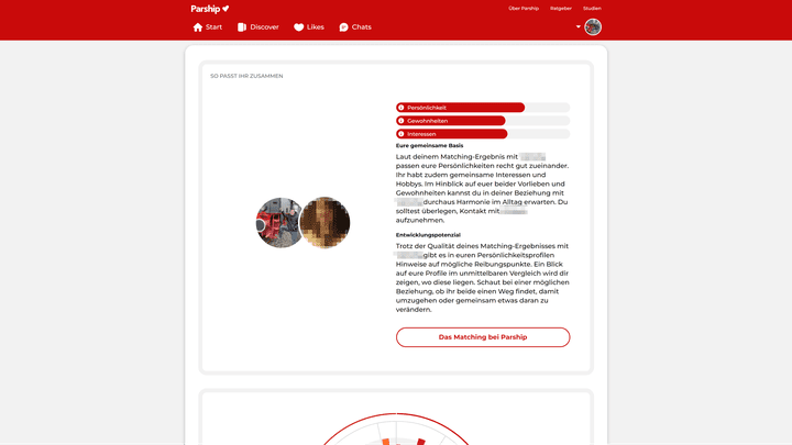 Eine Kurzzusammenfassung der Profile gibt Hinweise auf Überschneidungen und mögliche Konflikte