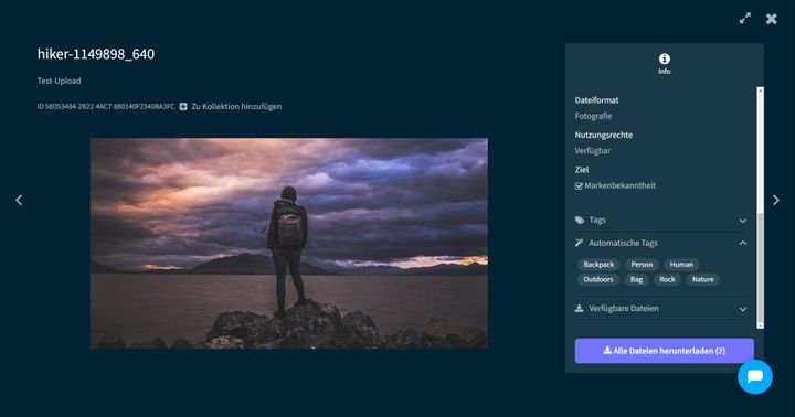 Fügen Sie per KI zügig Auto-Tags zu Ihren Assets hinzu