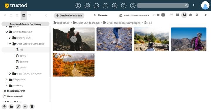 Die Ordner- und Alben-Struktur von Canto
