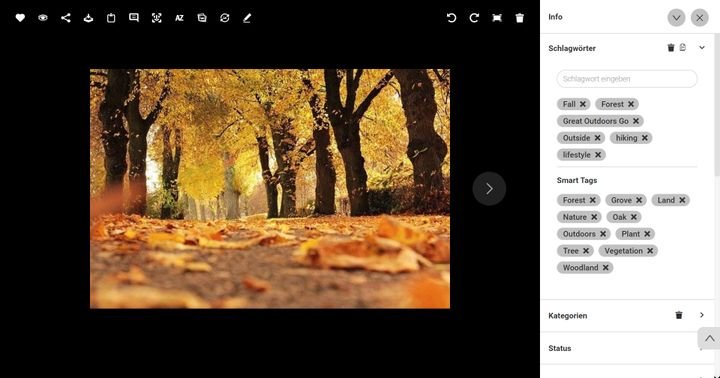 Canto erstellt über die Inhaltserfassung für Medien automatisch intelligente Smart Tags