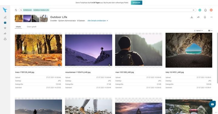 Optimieren Sie Ihren Workflow mit den passenden Ansichten