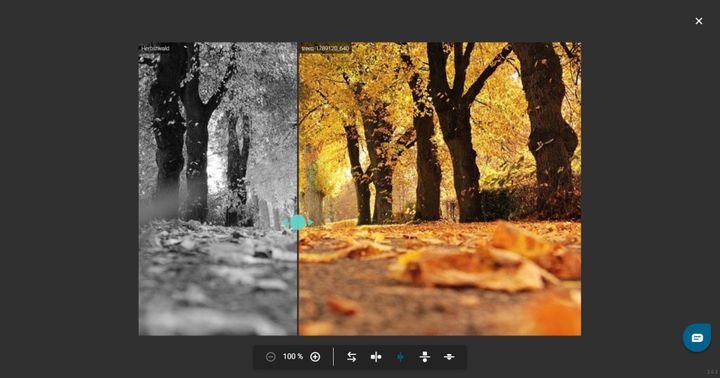 Legen Sie Bilder neben- oder übereinander, um diese zu vergleichen