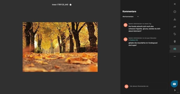Tauschen Sie sich über Kommentare mit Ihrem Team aus