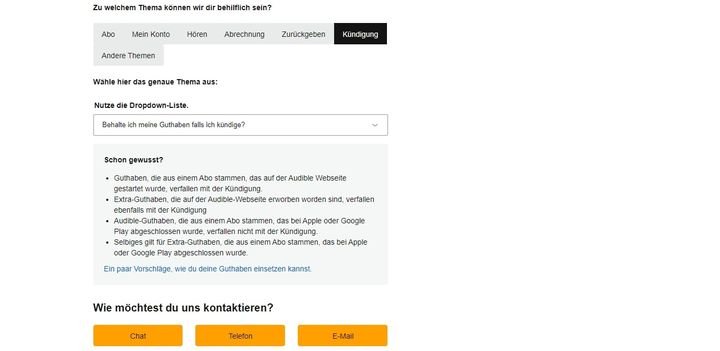 Die Kontaktaufnahme mit dem Support erfolgt erst nach der Ausfüllung des Formulars