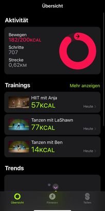 Gibst du zu Beginn deine Daten ein, stellt dir Apple einen “Aktivitätsring” zur Verfügung, den du durch das Training füllst. 