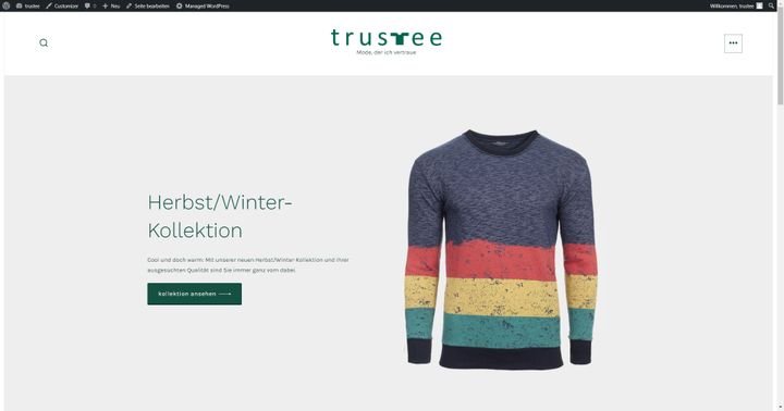 So oder so ähnlich könnte Ihre zukünftige Startseite aussehen