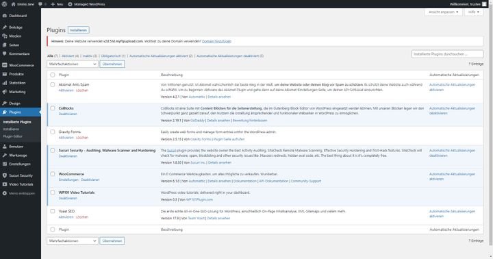 Host Europe bietet Ihnen für Ihre Installation eine Vorauswahl an bereits vorhandenen Plugins