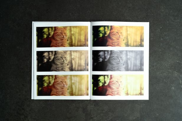 Auch mit Filtern bleiben die Bilder noch scharf