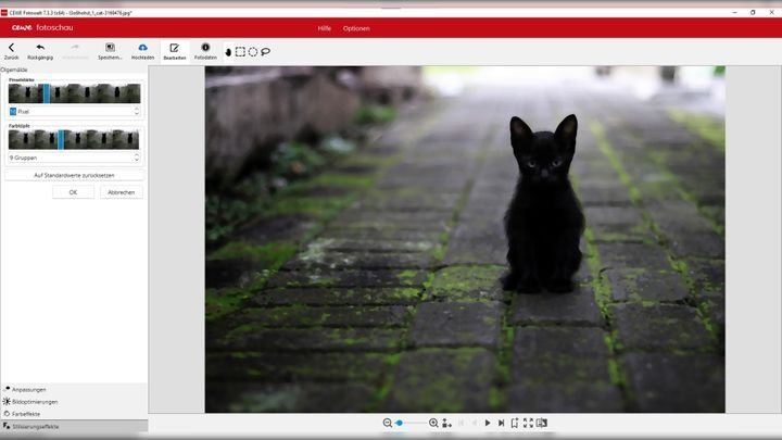 Selbst Stilisierungseffekte könnt ihr vielfältig bearbeiten - hier die Katze als Ölgemälde