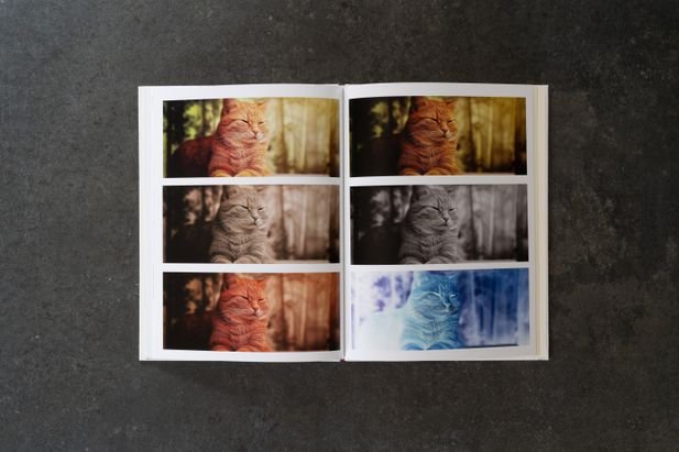 Auch die Filter lassen sich unterscheiden - wenn ihr die Stärke ändert, natürlich noch mehr