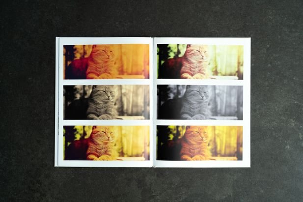 Auch mit Filtern hinterlegte Fotos passen in euer Fotoalbum