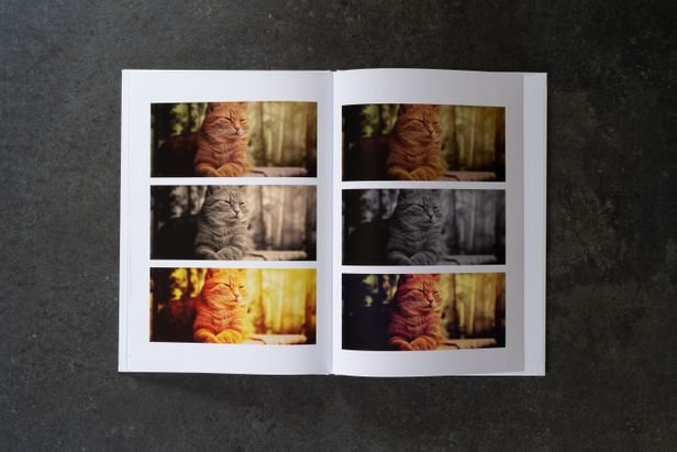 Die Filter haben kräftige Farben - schade nur, dass sie im Tool irreführend nach Städten in Florida benannt wurden