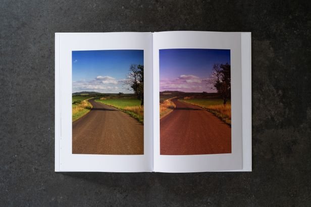 Links das Original, rechts der Filter - fast wie durch eine Sonnenbrille