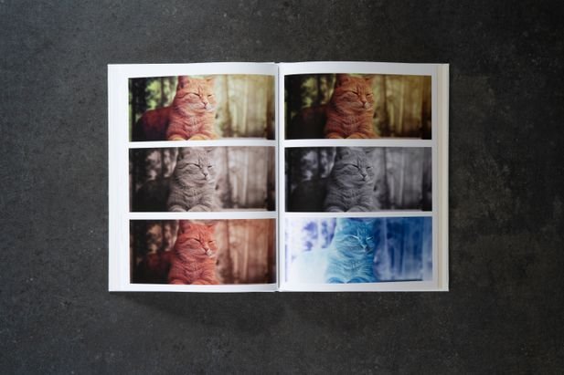 Die Unterschiede zwischen den Filtern werden deutlich - und die Katze unten rechts regelrecht röntgenisiert