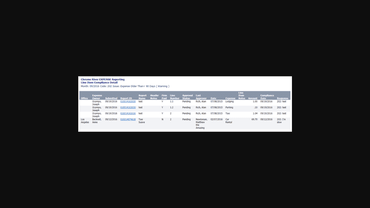 Mit reinen Listen-Reports kann mich Chrome River nicht abholen
