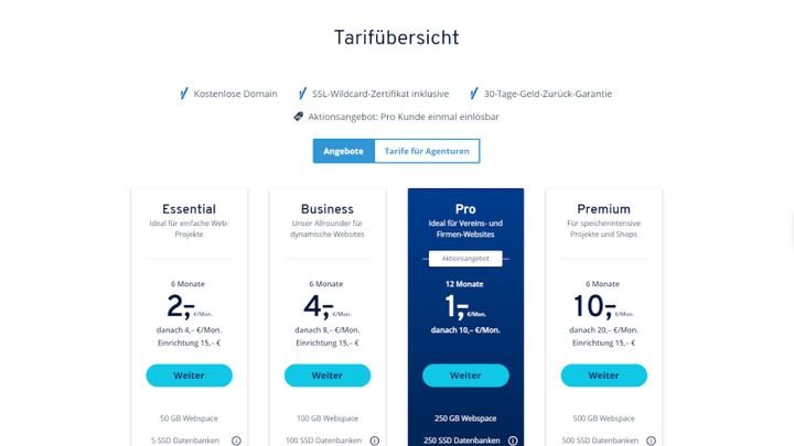 Im Fall von IONOS beschreibt “Business” eine Stufe des normalen Webhosting-Angebots