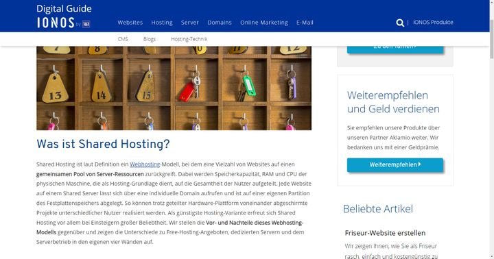 Im Fall von IONOS beschreibt “Business” eine Stufe des normalen Webhosting-Angebots