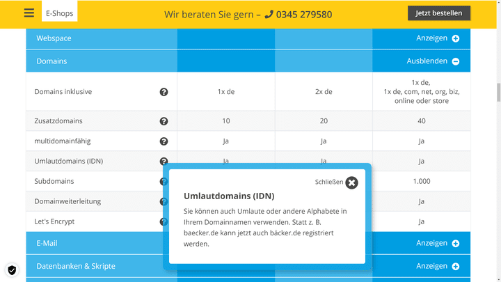 Prüfe rechtzeitig, ob dein Domain-Hosting-Anbieter Umlautdomains erlaubt