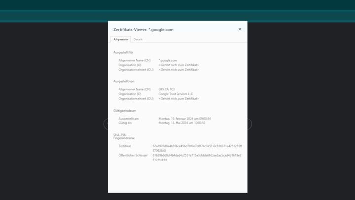 Mit wenigen Klicks bekommst du mehr über das SSL-Zertifikat einer Website heraus