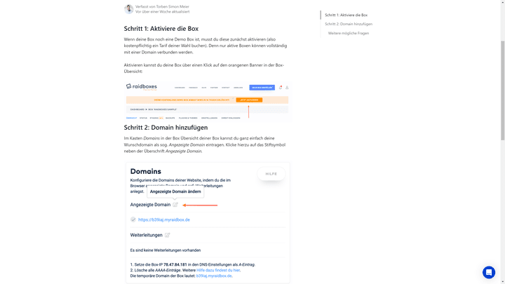 Raidboxes stellt dir eine sehr gut gemachte Hilfe zur Verbindung deiner Domain zur Verfügung