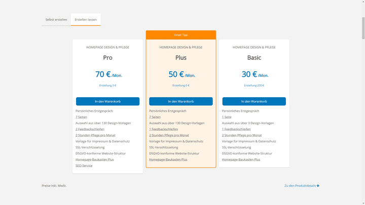 Die Handlungsempfehlungen geben dir eine wichtige Orientierungshilfe zur Verbesserung deiner Website