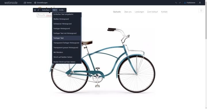 Die Logo- und Buttonstile müssen Sie ohne Vorschau durchprobieren