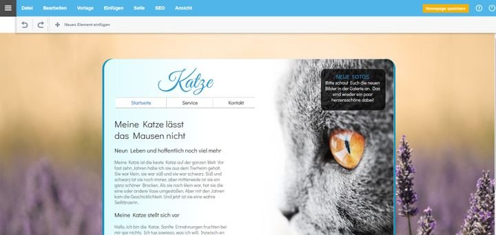 Der Cabanova-Editor ist einfach und intuitiv, wirkt allerdings ein wenig altbacken