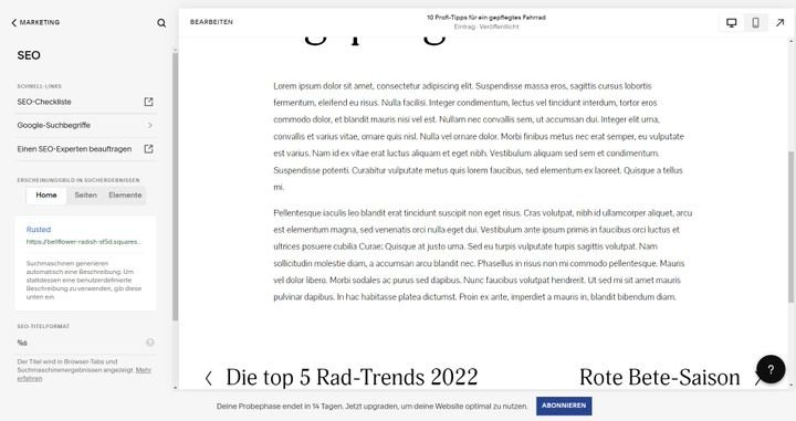 SEO-Features sind in Squarespace nur wenige vorhanden, dafür sehr übersichtlich im Dashboard zu finden