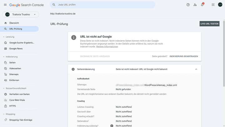 Überprüfe, ob deine Seite bereits indexiert ist